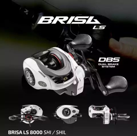MARINE SPORTS BRISA 8000 LS 2024