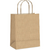 Sacola p/ presente kraft CROMUS 43x38x20cm EXG