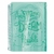 Caderno colegial DAC breeze verde 160fls 10 matérias c/malote