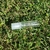 Rollon Cristal 10 cc x 20 unidades