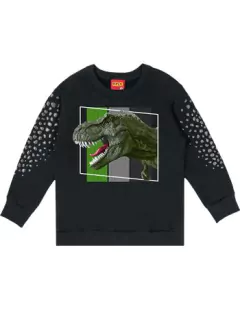 Conjunto Dinossauro Kyly na internet