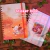 KIT Pombinha | Todos os produtos de pombo da loja! - comprar online