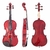Violino Di Pietro Atelier Stradivari 4/4 N°03