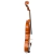Violino Di Pietro Scolaro SVG101 4/4 - Vibração Instrumentos Musicais