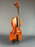 Violino Di Pietro Professionale SVM150 4/4 na internet