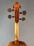 Violino Di Pietro Atelier Stradivari 4/4 N°53 na internet