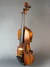 Violino Di Pietro Professionale SVM102 4/4