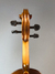 Violino Di Pietro Professionale SVM102 4/4 - comprar online
