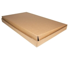 50 Caixas de papelão 19 x 15 x 2,5 cm Embalagem Padrão Correios * Pac mini / Mini envios - Intertronix