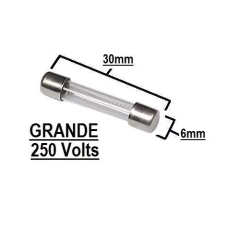 Fusível de vidro grande 6A 250V - comprar online