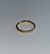 Segmento Titânio Gold com Zircônias na internet
