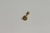Micro Reto PVD Gold 24K Roda Aço Cirúrgico