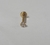 Labret Estrela Ponto de Luz Aço Cirúrgico PVD Gold 24K