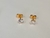 Brincos Titânio Gold 24K
