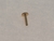 Haste Labret Titânio Gold 24K 6mm - comprar online