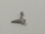 Micro Reto Folheado Estrela Cadente