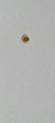 Bolinha para Australiano 0,8mm PVD Gold 24K