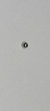 Bolinha para Australiano 0,8mm