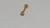 Labret Aço Cirúrgico PVD Gold 24K Esfera Zircônia