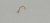 Nostril Titânio Gold 24K Zircônia Cravada 0,6mm