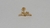 Labret Titânio Gold 24K Galinho