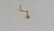 Nostril Aço Cirúrgico PVD Gold 24K Trinity