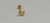 Labret Titânio Gold 24K Borboletinha Zircônias
