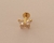 Labret Titânio Gold 24K Little Butterfly na internet