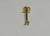 Australiano Labret Aço Cirúrgico PVD Gold 24K