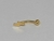 Micro Curvo Aço Cirúrgico PVD Gold 24K Rainho