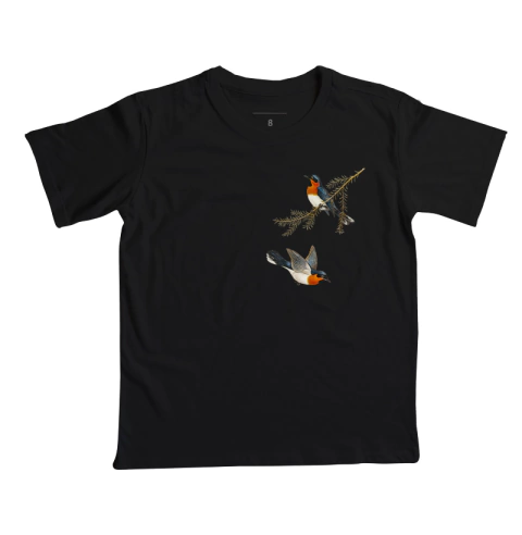 Camiseta Infantil Pássaros - comprar online