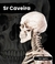 Banner de Portal Casa da Caveira 