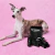Kit Vetreska Cata Caca Bow de Noir – Dispenser + 7 Rolos (105 Sacos) - comprar online