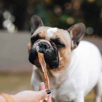 Snack Mastigável Pocky Uni Natuka - Tendão bovino para cães 1unid - comprar online