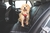 Cinto de segurança para Carro - KONG TRAVEL M&S Seat Belt - loja online