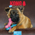 Brinquedo Interativo Kong ChewStix Puppy Link Bone - para filhotes - comprar online