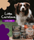 Banner de Pet Trevo | Brinquedos, Petiscos e Mordedores Naturais para Pets