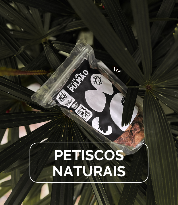 Petiscos 100% Naturais