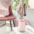 Living Old Pink - comprar online