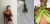 Banner de martaproject