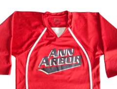 - CAMISETA NHL - ANN ARBOR - S - 0039 en internet