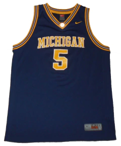 - CAMISETA BASQUET - MICHIGAN WOLVERINES - S - 229 - comprar online