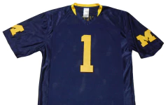- CAMISETA NFL - MICHIGAN WOLVERINES - M - 254 en internet