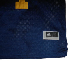 - CAMISETA NFL - MICHIGAN WOLVERINES - L - 259 - US STORE MAR DEL PLATA