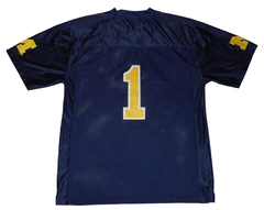 - CAMISETA NFL - MICHIGAN WOLVERINES - L - 265 - US STORE MAR DEL PLATA