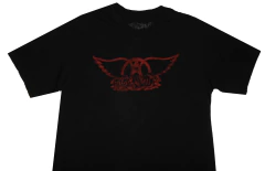 - REMERA DEPORTIVA - AEROSMITH - M - 1131 en internet