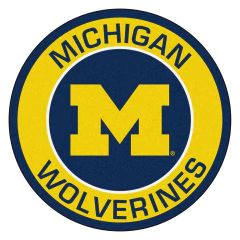 Imagen de - CAMISETA BASQUET - MICHIGAN WOLVERINES - S - 229