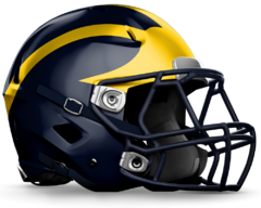 - REMERA DEPORTIVA - NFL - MICHIGAN WOLVERINES - S - 1047 - tienda online