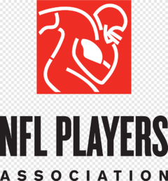 - CAMISETA NFL - FLAGS (REVERSIBLE) - L - 003