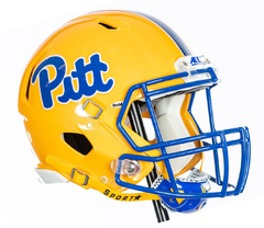 Imagen de - GORRA - NFL - PITTSBURGH PANTHERS - 448